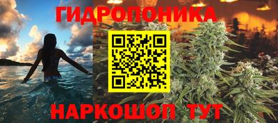 индика Жуковский