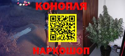 индика Жуковский